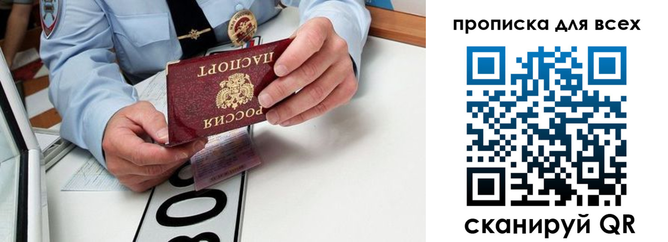 прописка для школы в Гвардейске